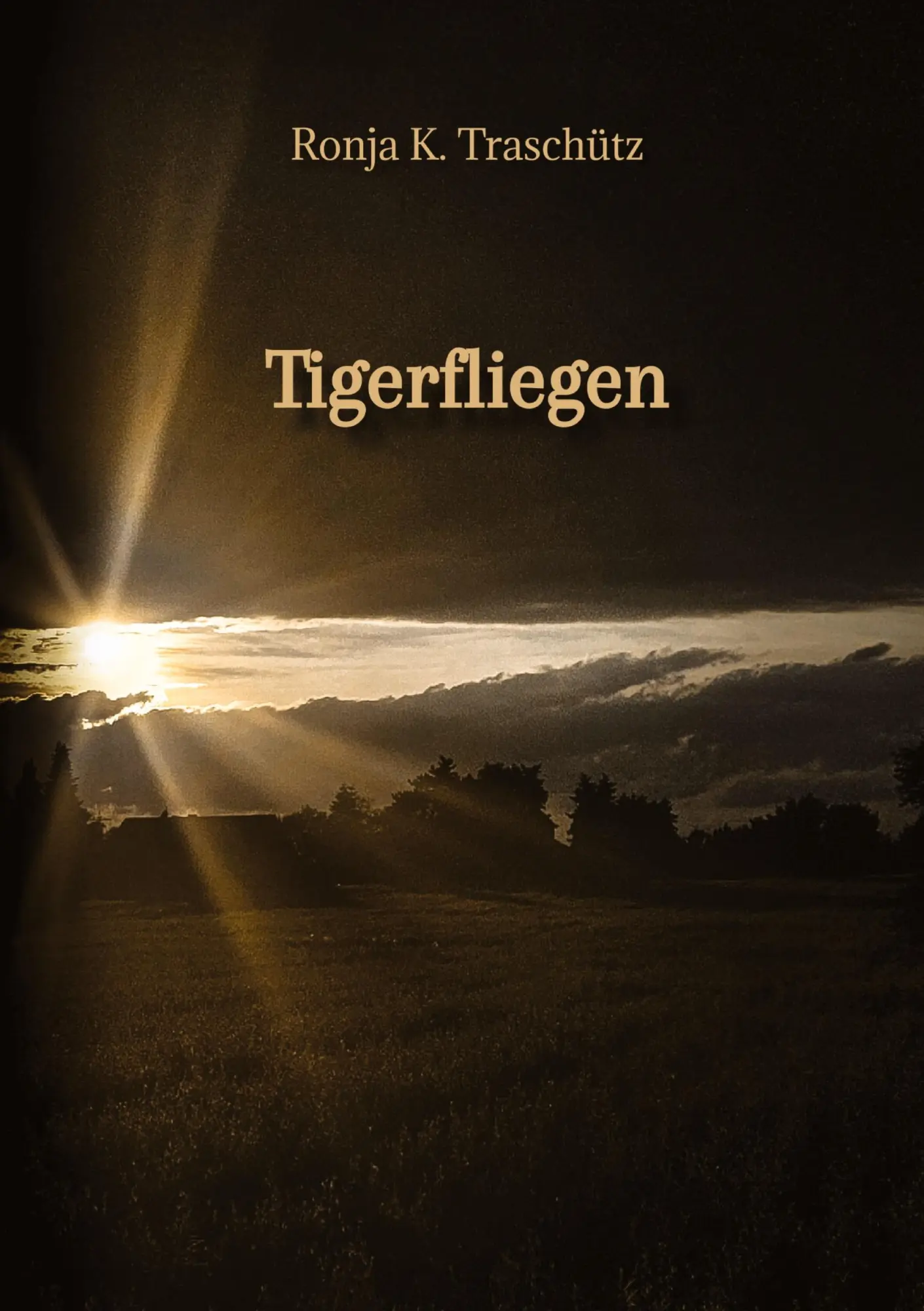 Cover: 9783384310606 | Tigerfliegen | Ronja K. Traschütz | Taschenbuch | 52 S. | Deutsch