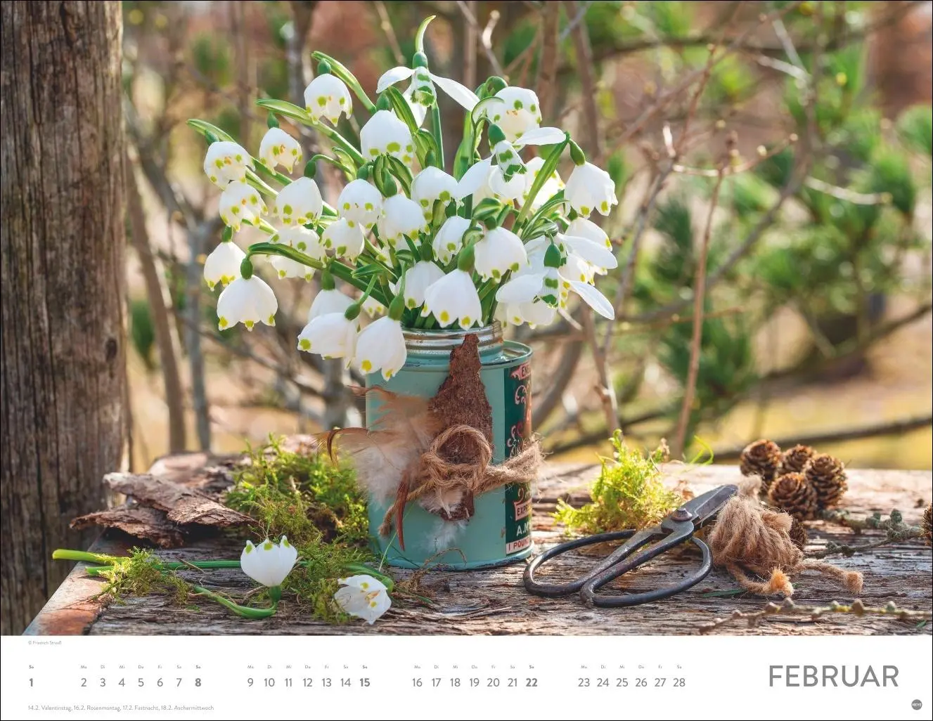 Bild: 9783756410606 | Gartenparadies Posterkalender 2026 | Heye | Kalender | Spiralbindung