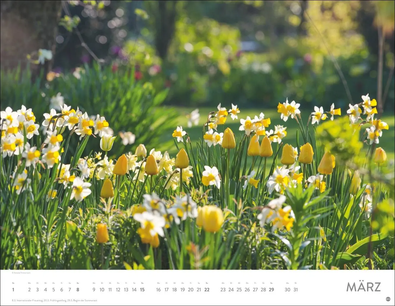 Bild: 9783756410606 | Gartenparadies Posterkalender 2026 | Heye | Kalender | Spiralbindung