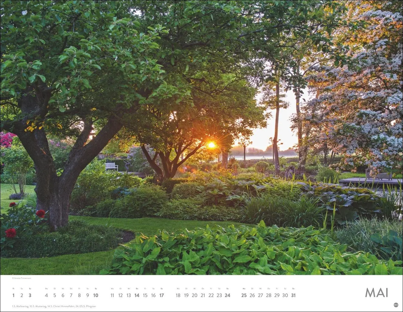 Bild: 9783756410606 | Gartenparadies Posterkalender 2026 | Heye | Kalender | Spiralbindung