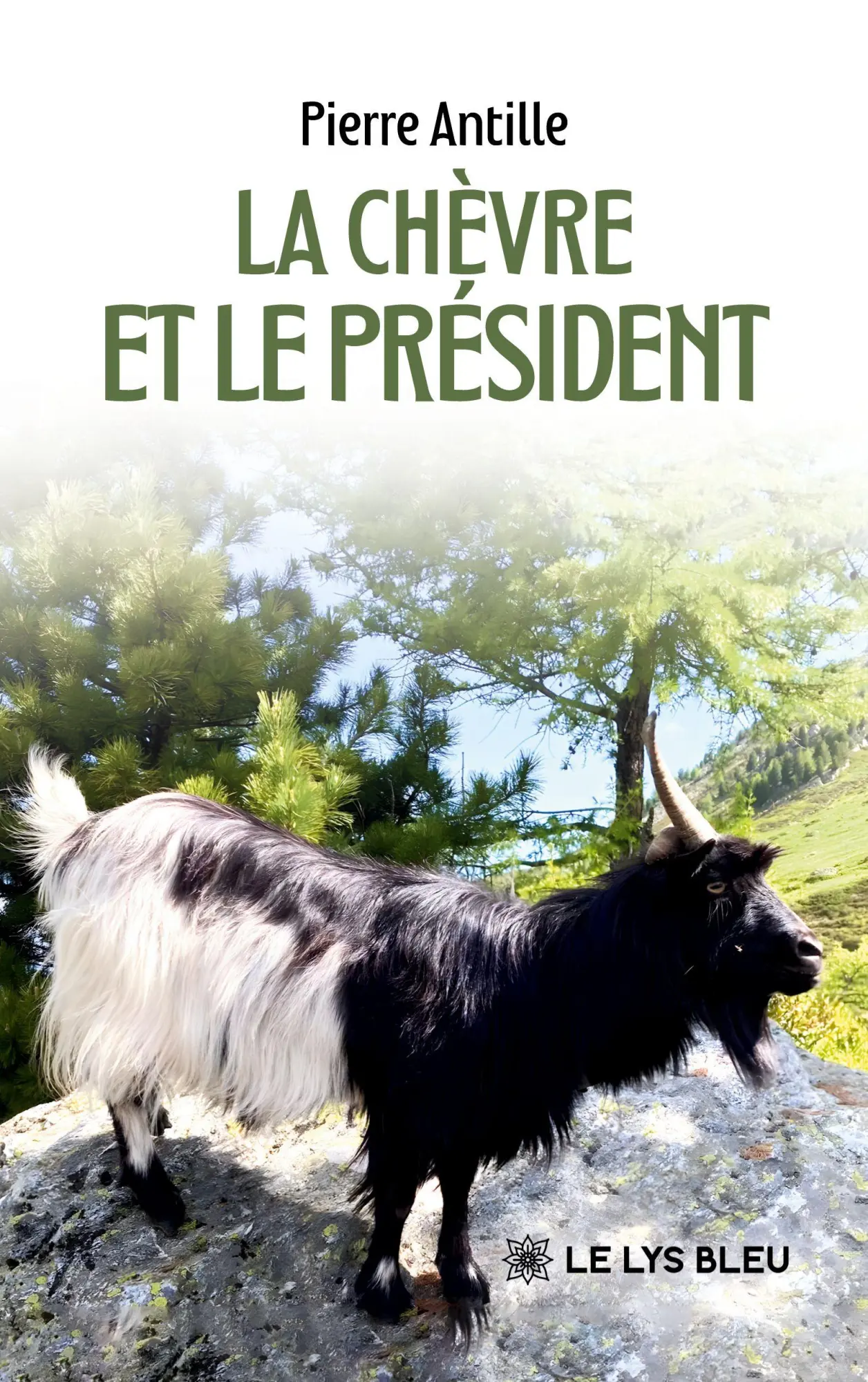 Cover: 9791043700606 | La chèvre et le Président | Pierre Antille | Taschenbuch | Französisch