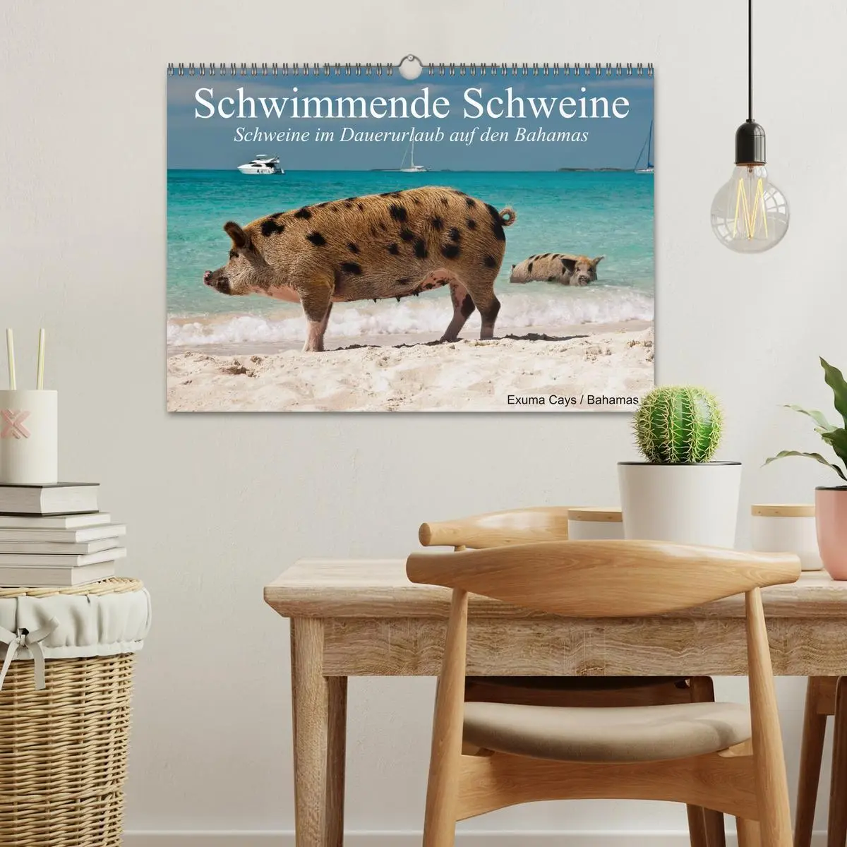 Bild: 9783457970706 | Schwimmende Schweine (Wandkalender 2026 DIN A3 quer), CALVENDO...