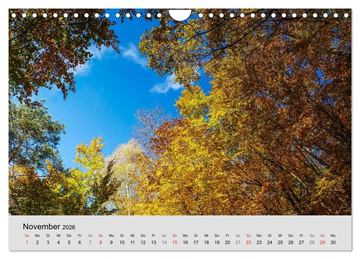 Bild: 9783516060706 | Saarland - unbekannte Schönheit (Wandkalender 2026 DIN A4 quer),...