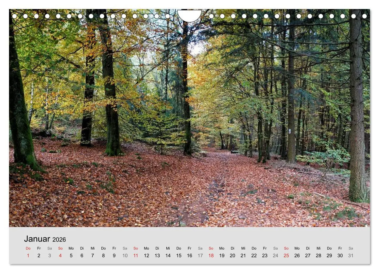Bild: 9783516060706 | Saarland - unbekannte Schönheit (Wandkalender 2026 DIN A4 quer),...