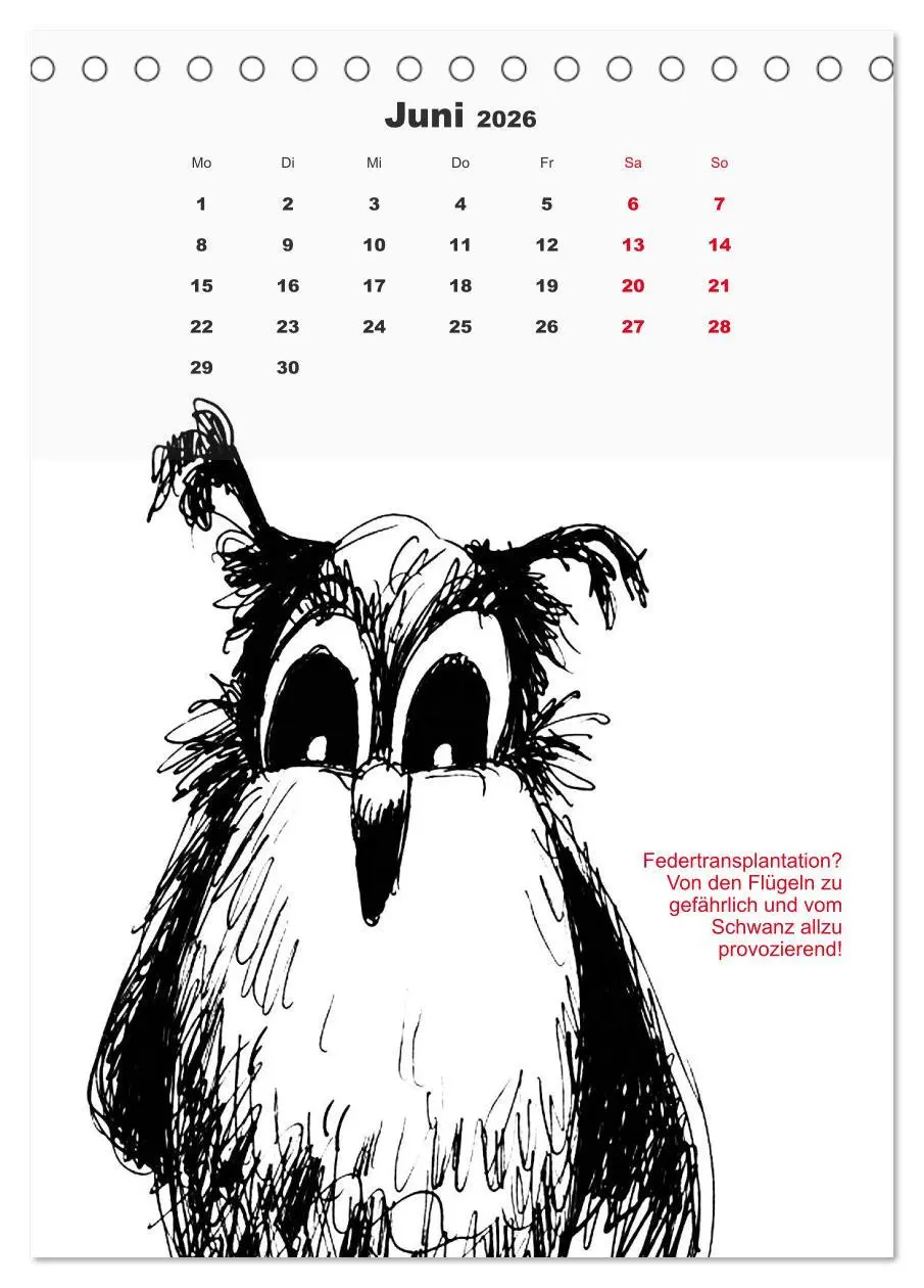 Bild: 9783516370706 | Vor dem Spiegel 2026 (Tischkalender 2026 DIN A5 hoch), CALVENDO...