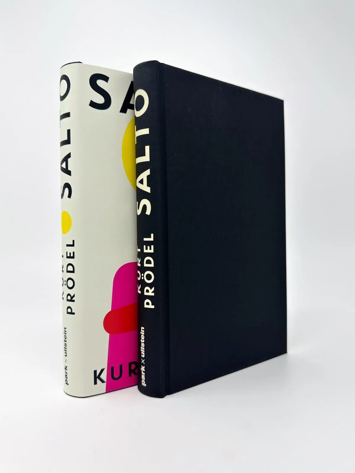 Bild: 9783988160706 | Salto | Kurt Prödel | Buch | 272 S. | Deutsch | 2026 | park x ullstein