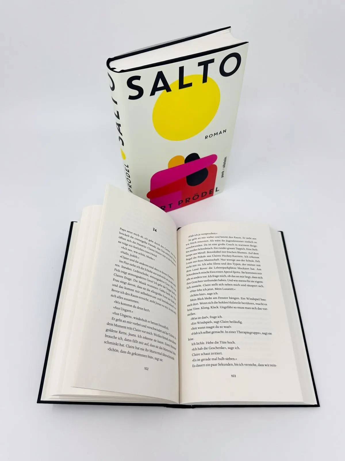 Bild: 9783988160706 | Salto | Kurt Prödel | Buch | 272 S. | Deutsch | 2026 | park x ullstein