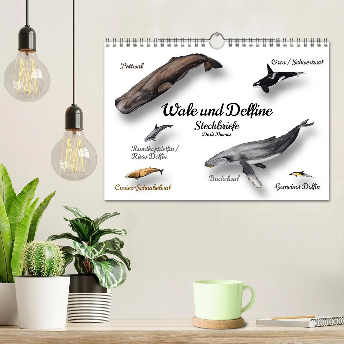 Bild: 9783457340806 | Wale und Delfine Steckbriefe (Wandkalender 2026 DIN A4 quer),...