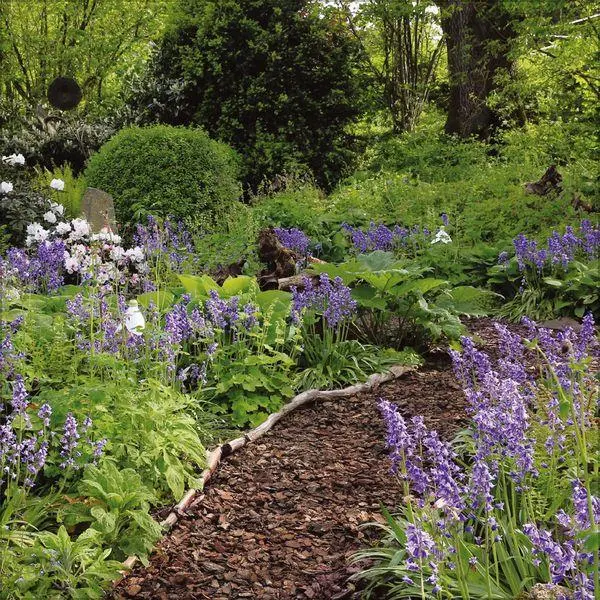 Bild: 9783819300806 | Gartenträume 2027 | Verlag Korsch | Kalender | 13 S. | Deutsch | 2027