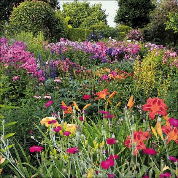 Bild: 9783819300806 | Gartenträume 2027 | Verlag Korsch | Kalender | 13 S. | Deutsch | 2027