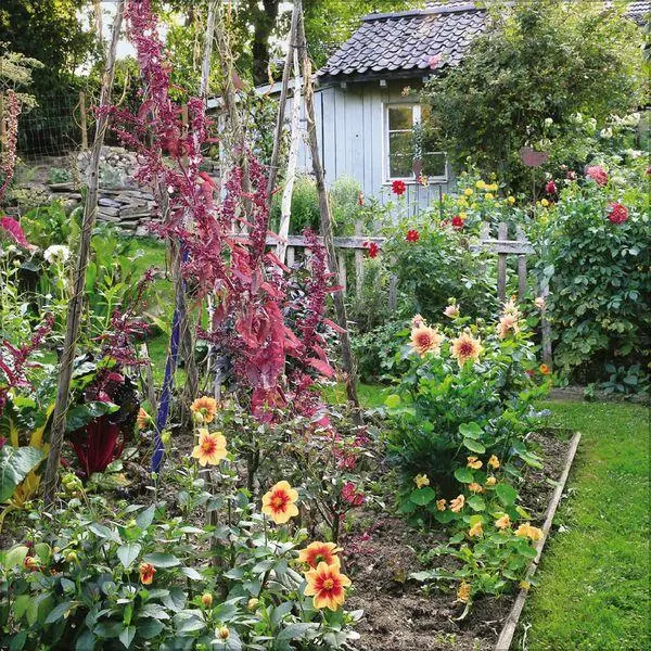 Bild: 9783819300806 | Gartenträume 2027 | Verlag Korsch | Kalender | 13 S. | Deutsch | 2027