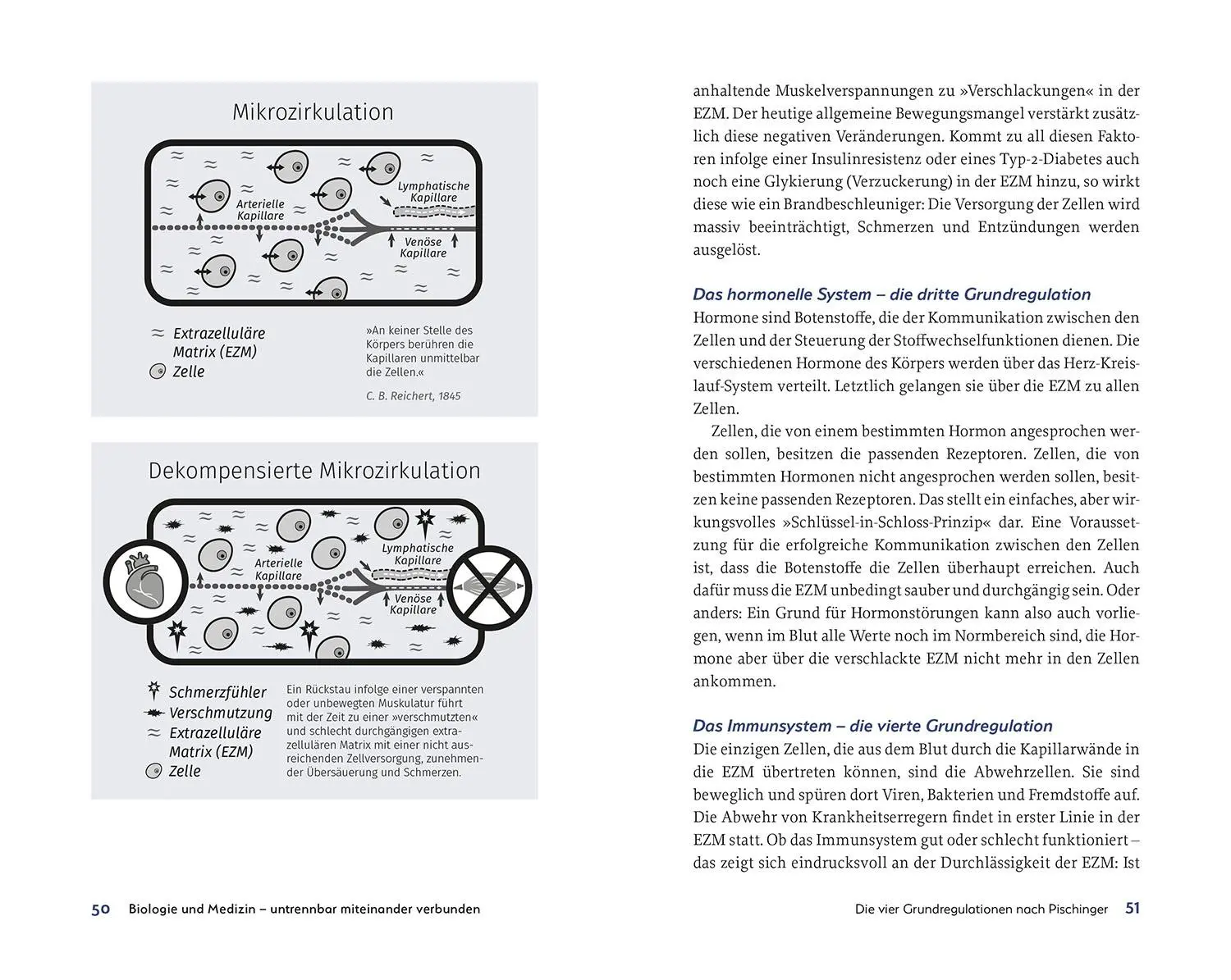 Bild: 9783968590806 | Raus aus der Insulin-Falle | Bernhard Dickreiter | Taschenbuch | 2025