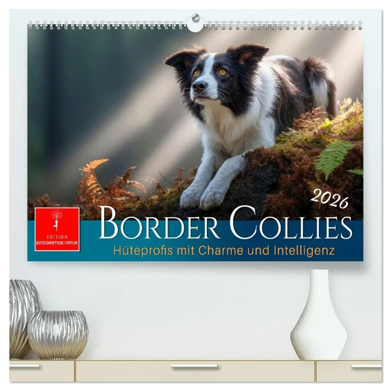 Cover: 9783516730906 | Border Collies Hüteprofis (hochwertiger Premium Wandkalender 2026...