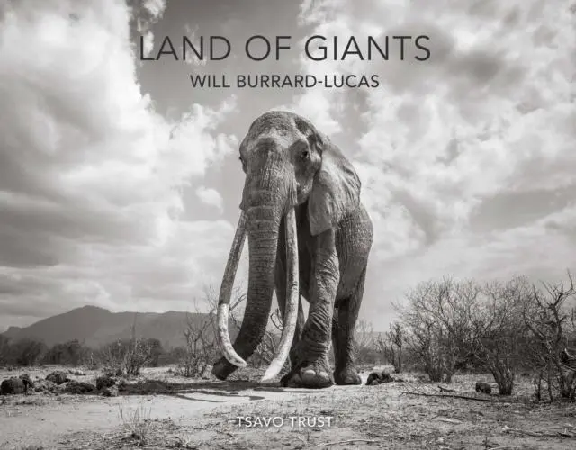 Cover: 9781912751006 | Land of Giants | Will Burrard-Lucas | Buch | Gebunden | Englisch