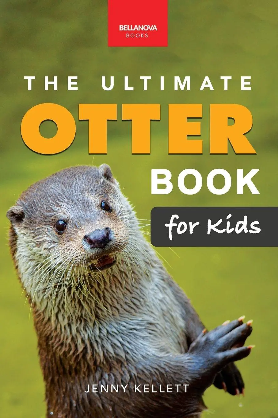 Cover: 9782487191006 | The Ultimate Otter Book for Kids | Jenny Kellett | Taschenbuch | 2023