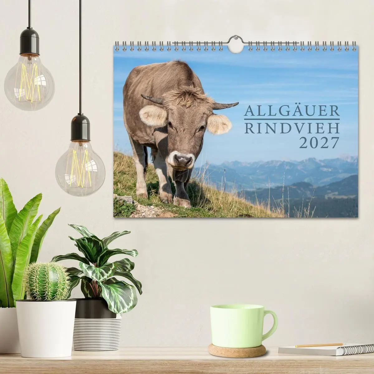 Bild: 9783516791006 | Allgäuer Rindvieh 2027 (Wandkalender 2027 DIN A4 quer), CALVENDO...