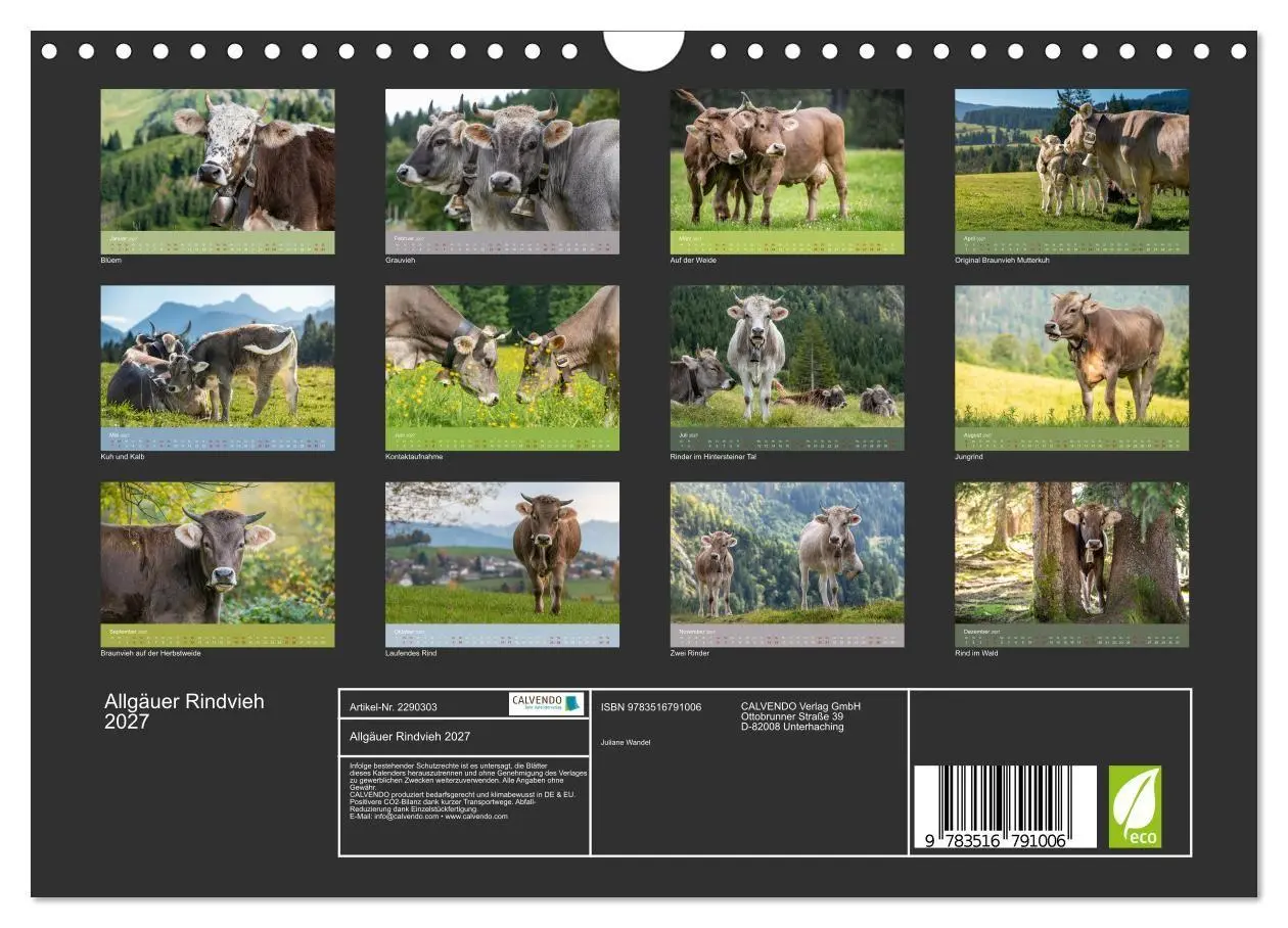Bild: 9783516791006 | Allgäuer Rindvieh 2027 (Wandkalender 2027 DIN A4 quer), CALVENDO...