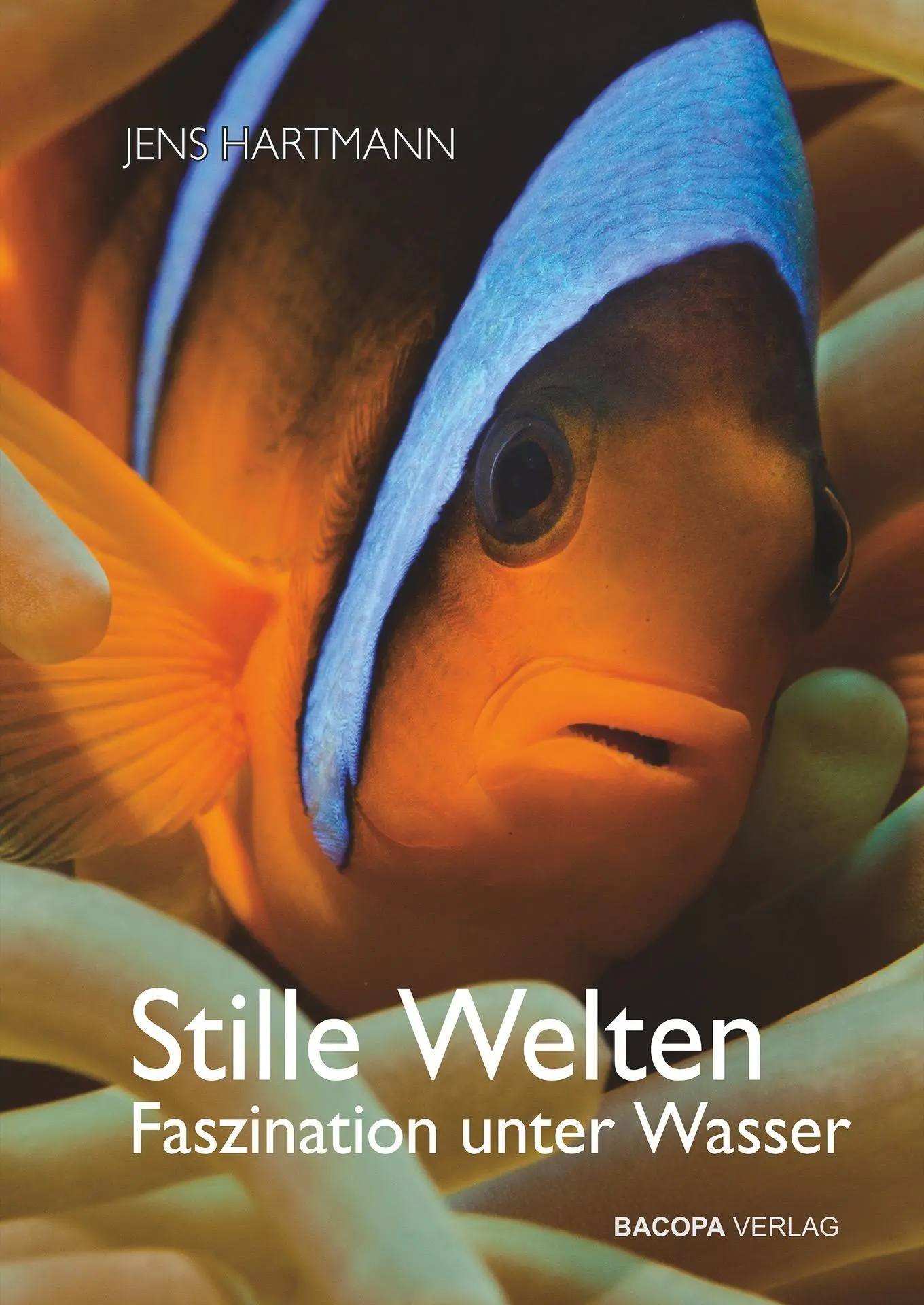 Cover: 9783991141006 | Stille Welten | Faszination unter Wasser | Jens Hartmann | Buch | 2025