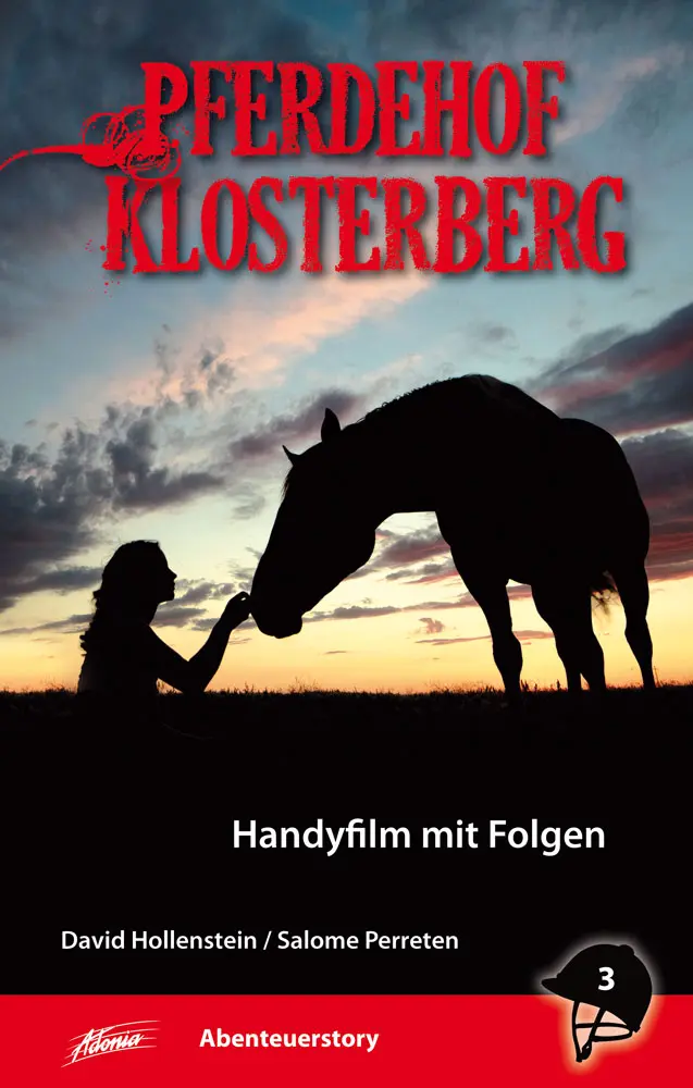 Cover: 9783037831106 | Handyfilm mit Folgen [3] | Salome Perreten David Hollenstein | Buch