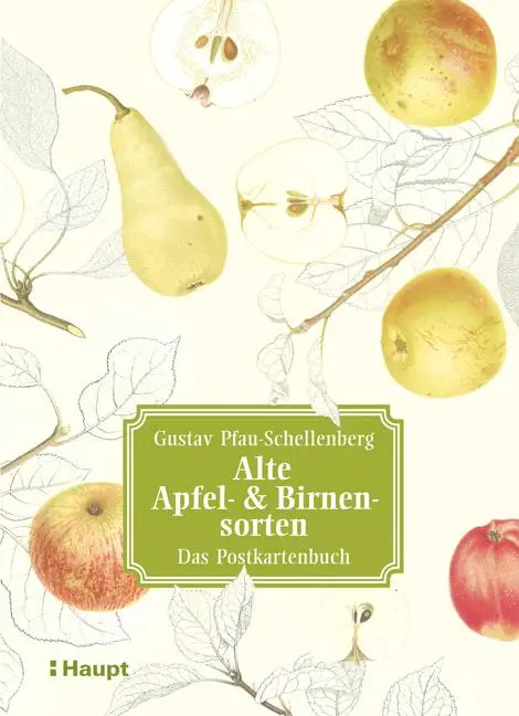 Cover: 9783258081106 | Alte Apfel- &amp; Birnensorten - Das Postkartenbuch | Pfau-Schellenberg