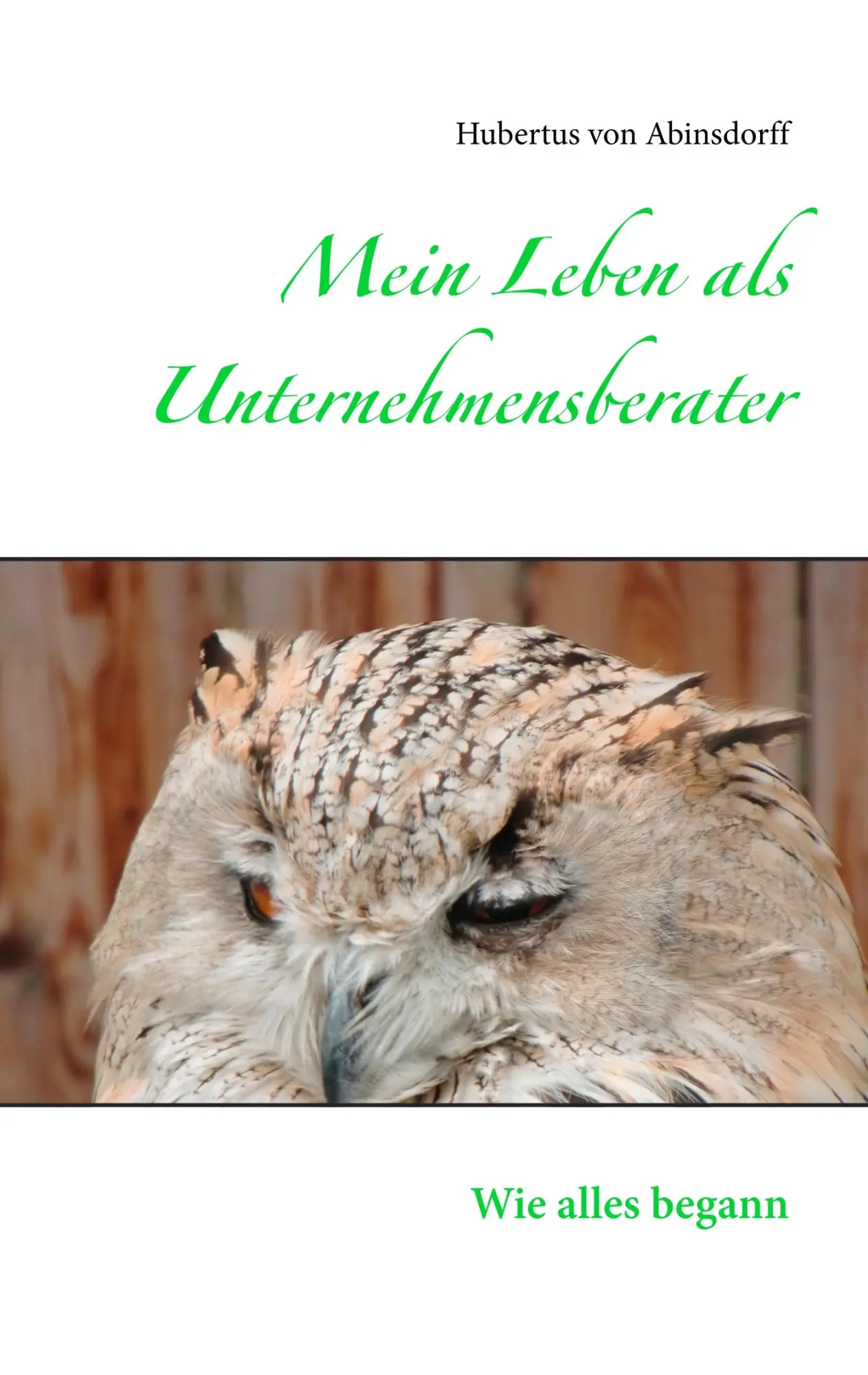 Cover: 9783749431106 | Mein Leben als Unternehmensberater | Wie alles begann | Abinsdorff