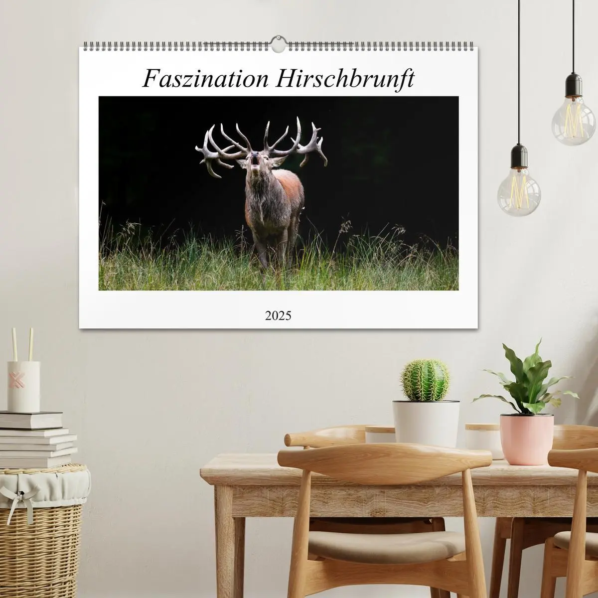 Bild: 9783435101306 | Faszination Hirschbrunft (Wandkalender 2025 DIN A2 quer), CALVENDO...