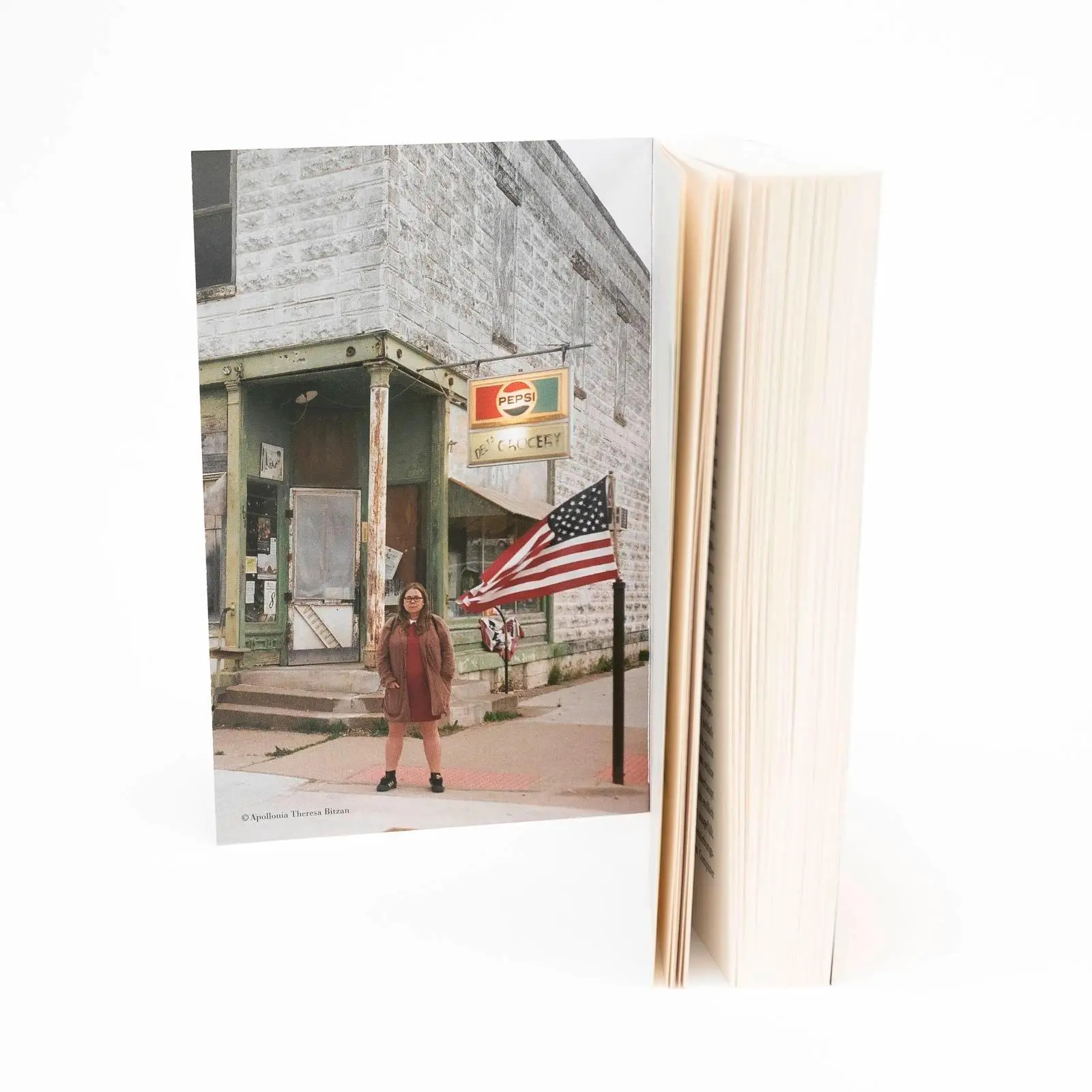 Bild: 9783499011306 | Iowa | Stefanie Sargnagel | Taschenbuch | 304 S. | Deutsch | 2025