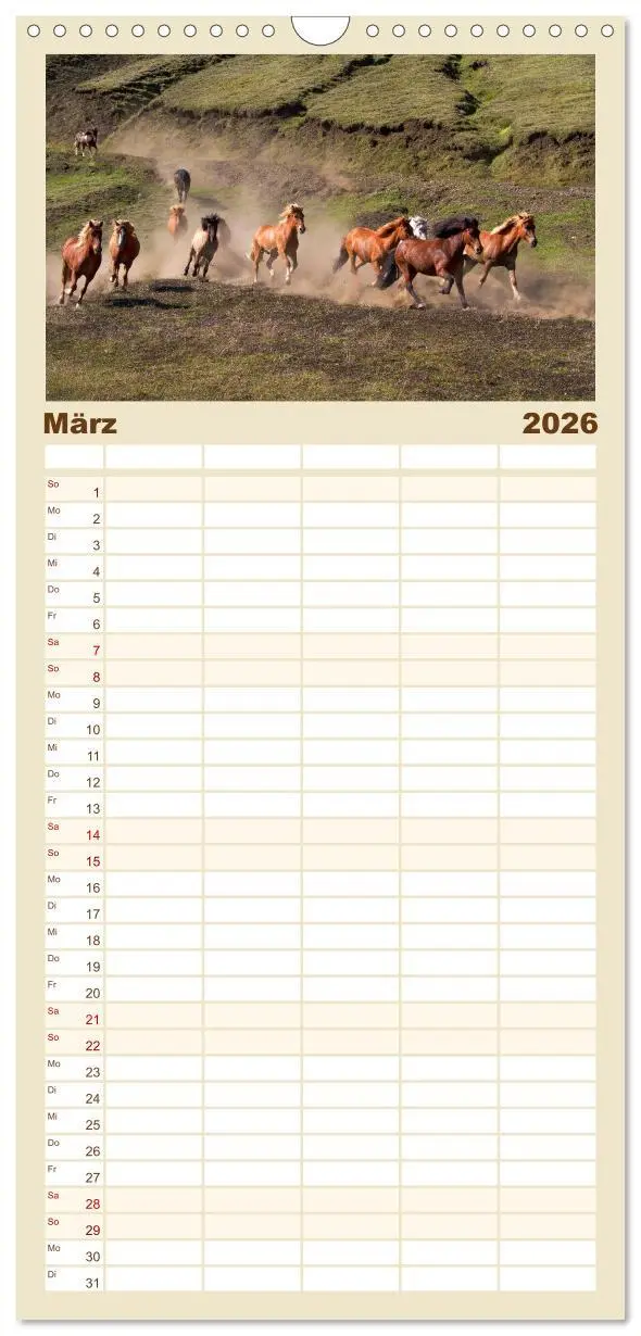 Bild: 9783516521306 | Familienplaner 2026 - Island - Land zwischen Feuer und Eis mit 5...