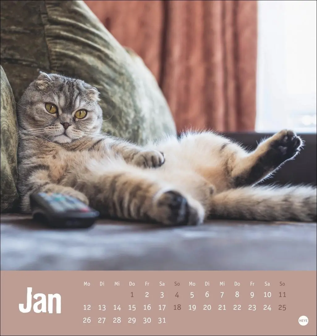 Bild: 9783756411306 | Tierisch entspannte Katzen Postkartenkalender 2026 | Heye | Kalender