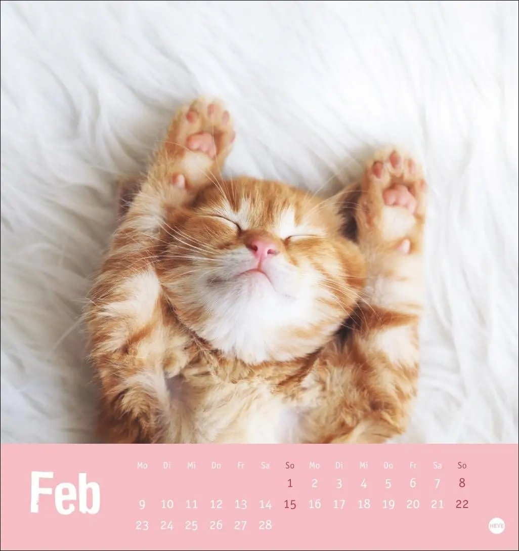 Bild: 9783756411306 | Tierisch entspannte Katzen Postkartenkalender 2026 | Heye | Kalender