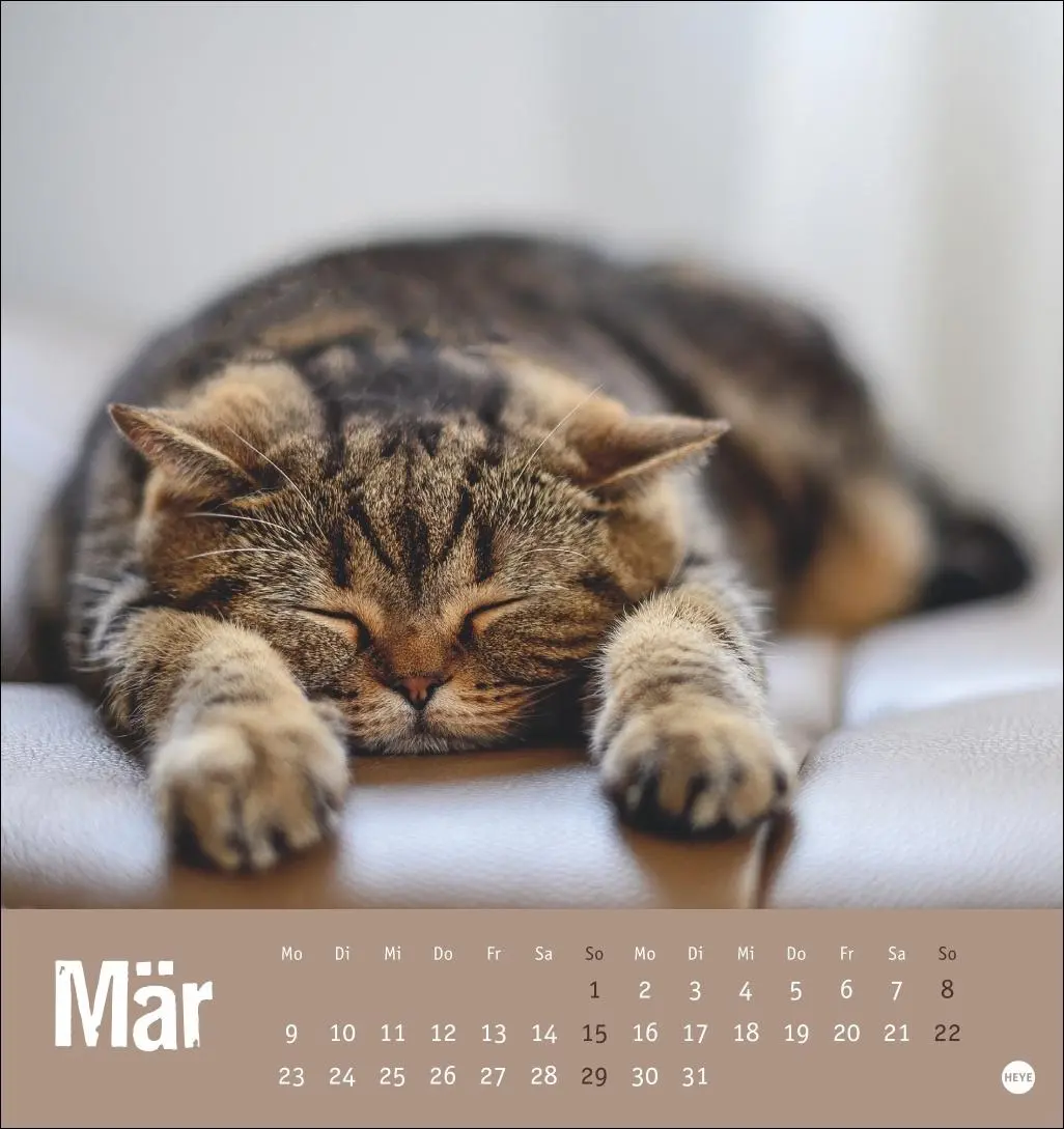 Bild: 9783756411306 | Tierisch entspannte Katzen Postkartenkalender 2026 | Heye | Kalender