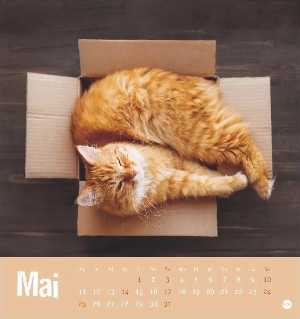 Bild: 9783756411306 | Tierisch entspannte Katzen Postkartenkalender 2026 | Heye | Kalender