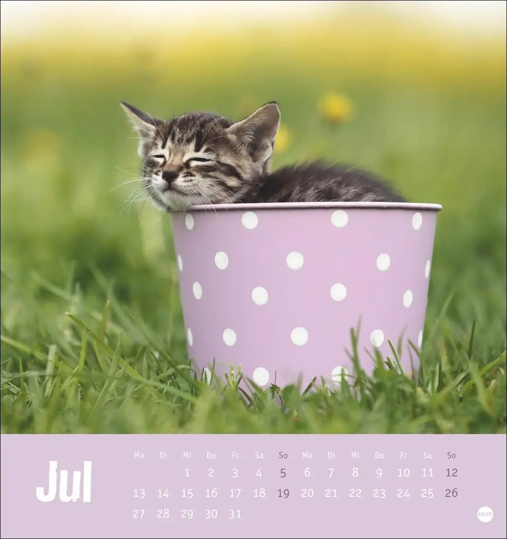 Bild: 9783756411306 | Tierisch entspannte Katzen Postkartenkalender 2026 | Heye | Kalender