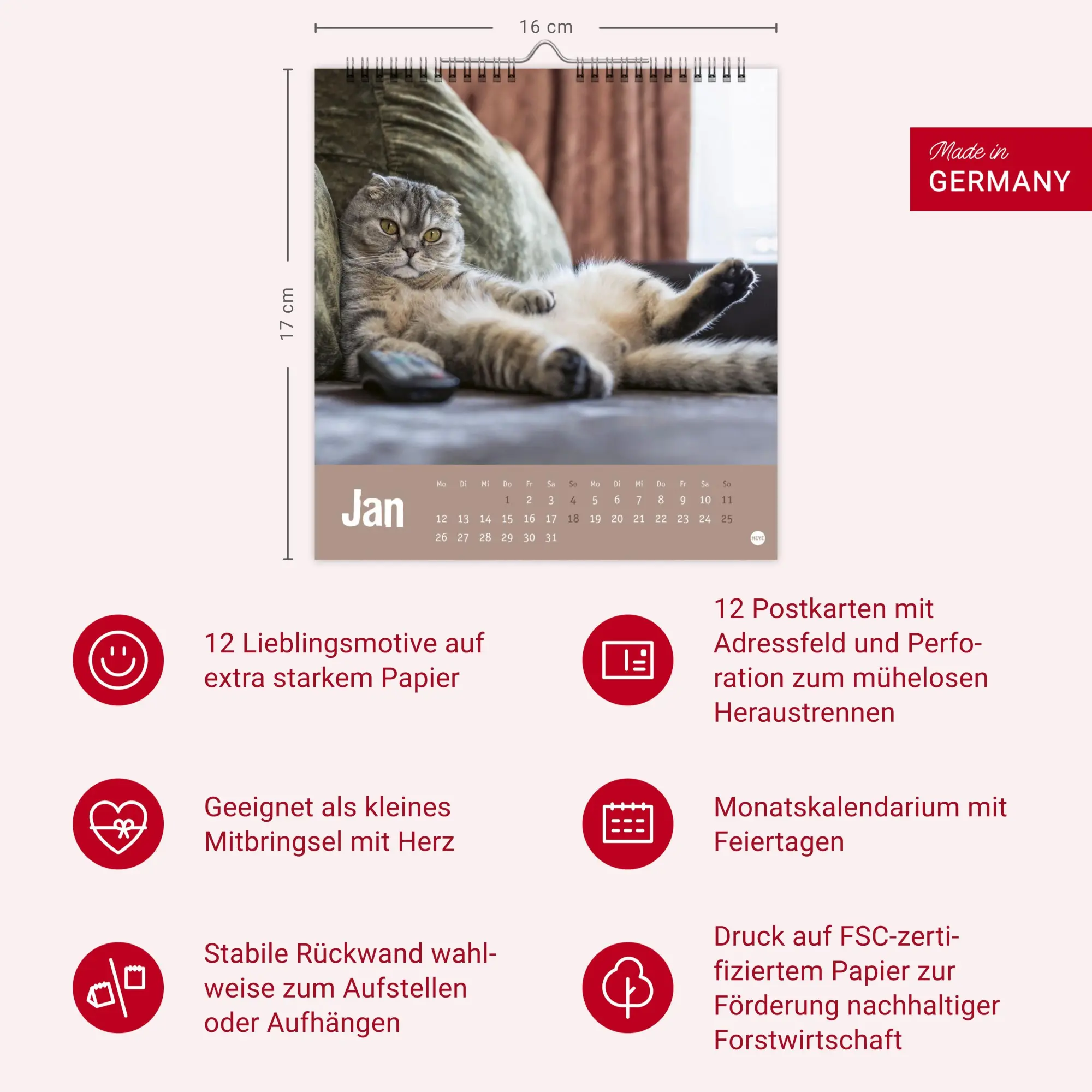 Bild: 9783756411306 | Tierisch entspannte Katzen Postkartenkalender 2026 | Heye | Kalender
