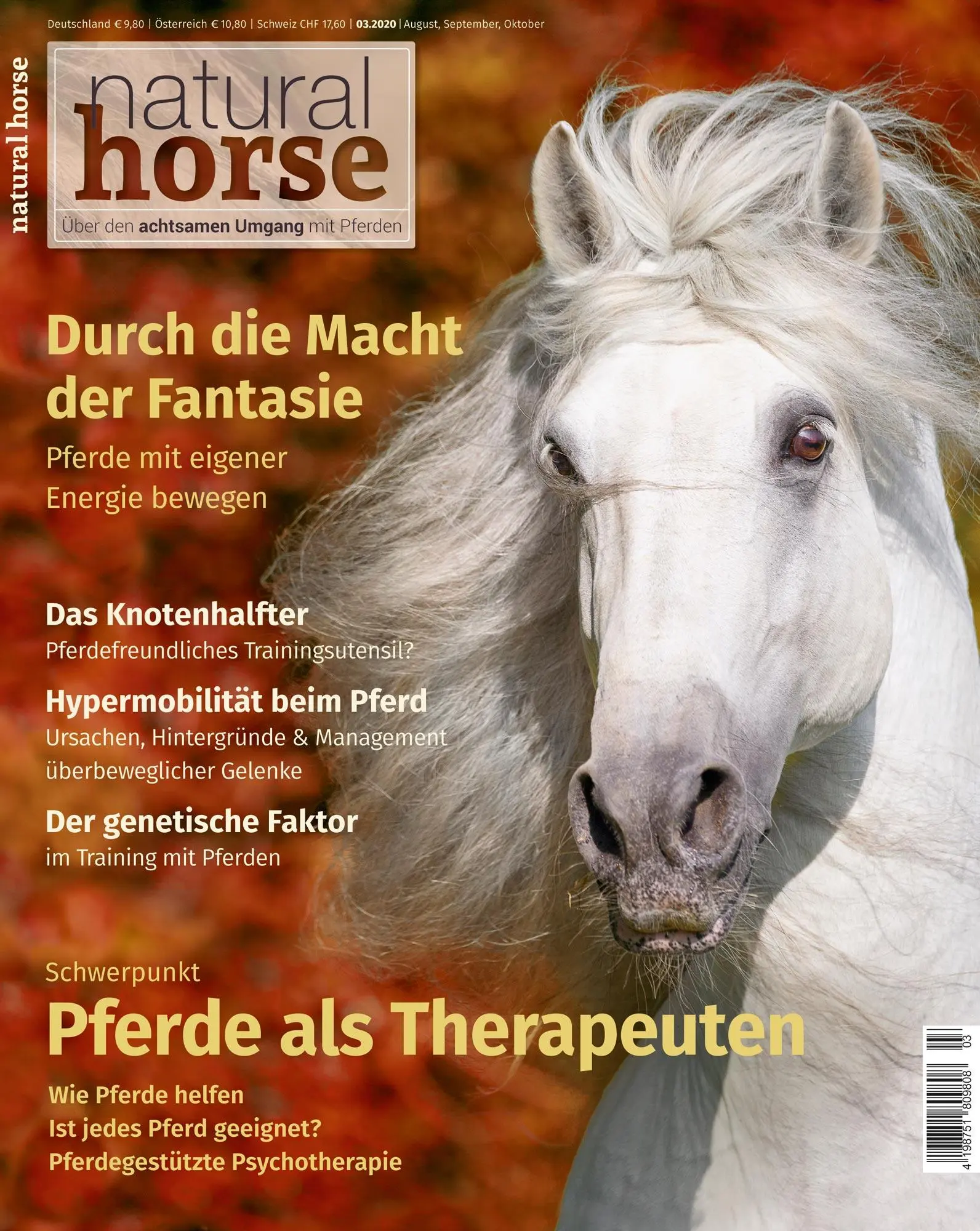 Cover: 9783958471306 | Natural Horse 30 | Pferde als Therapeuten | Hans Schmidtke | Buch