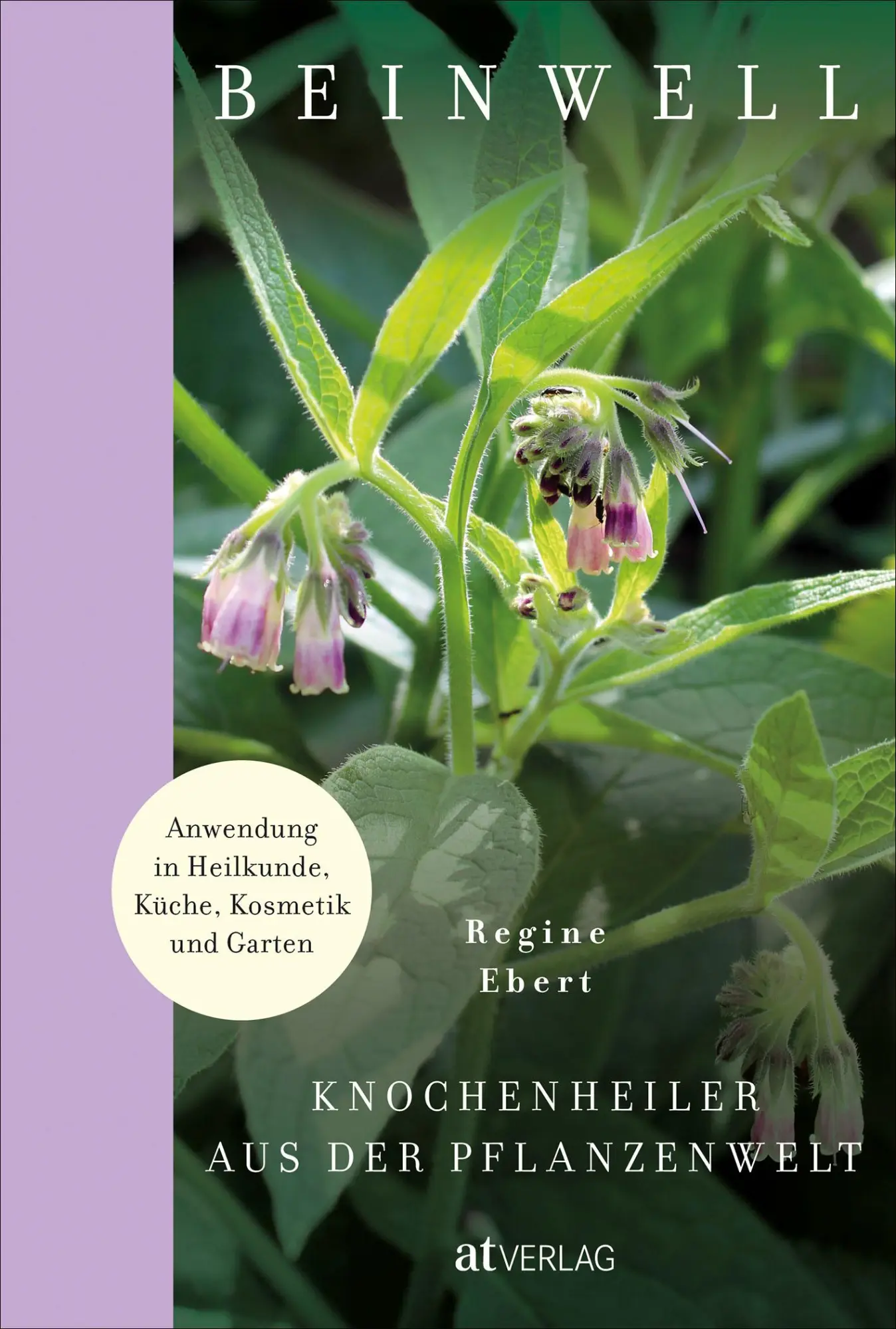 Cover: 9783039021406 | Beinwell | Regine Ebert | Buch | 208 S. | Deutsch | 2022 | AT Verlag