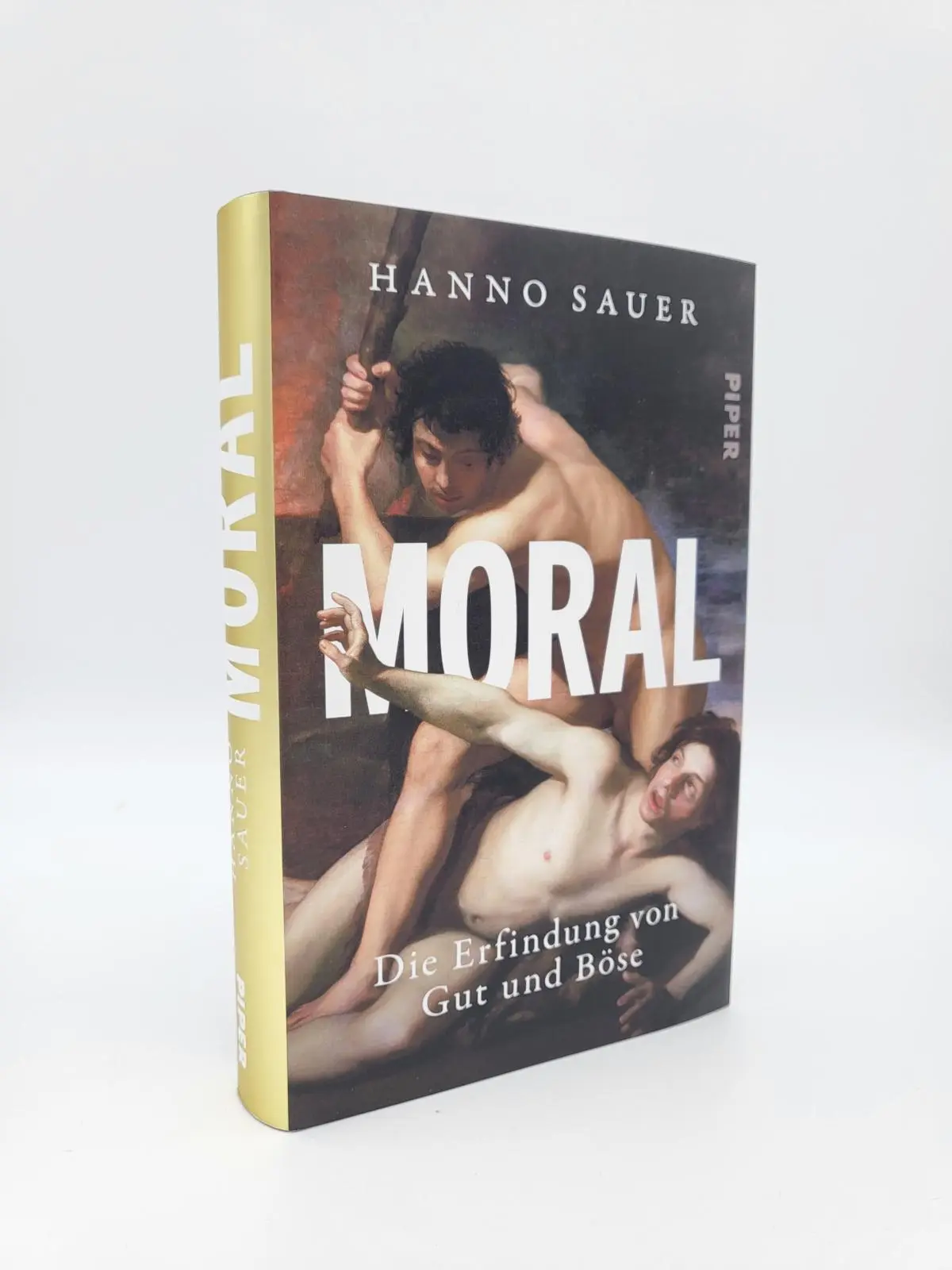 Bild: 9783492071406 | Moral | Hanno Sauer | Buch | 400 S. | Deutsch | 2023