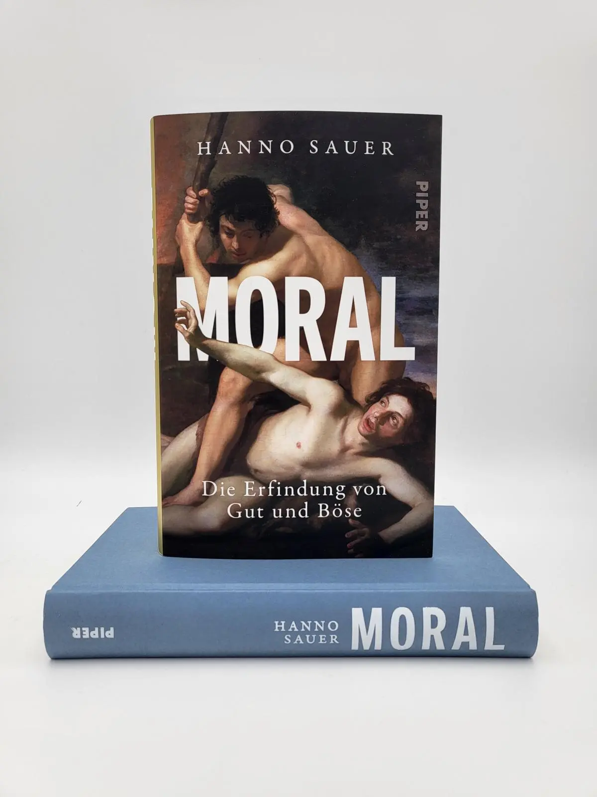 Bild: 9783492071406 | Moral | Hanno Sauer | Buch | 400 S. | Deutsch | 2023