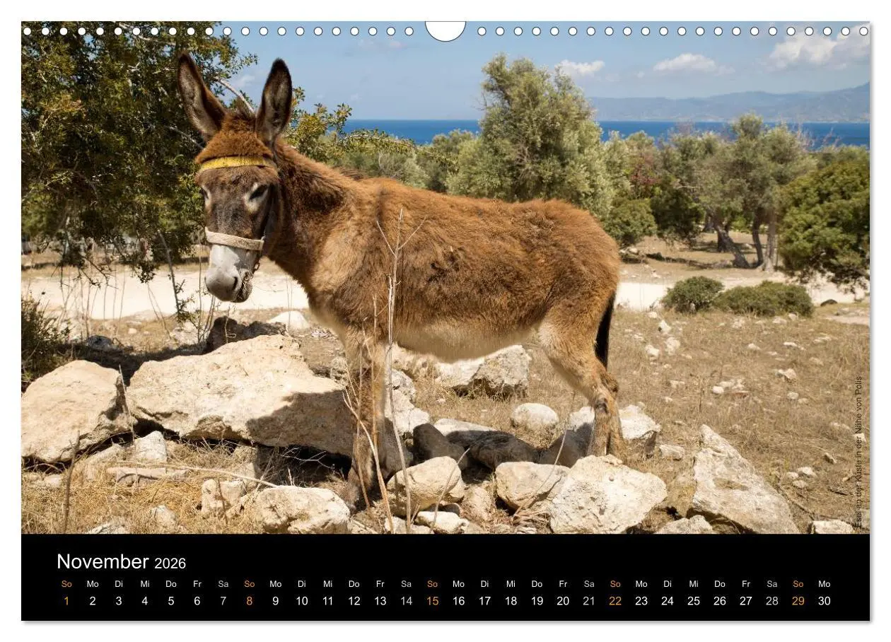 Bild: 9783516131406 | Zypern - Cyprus - Kypros (Wandkalender 2026 DIN A3 quer), CALVENDO...