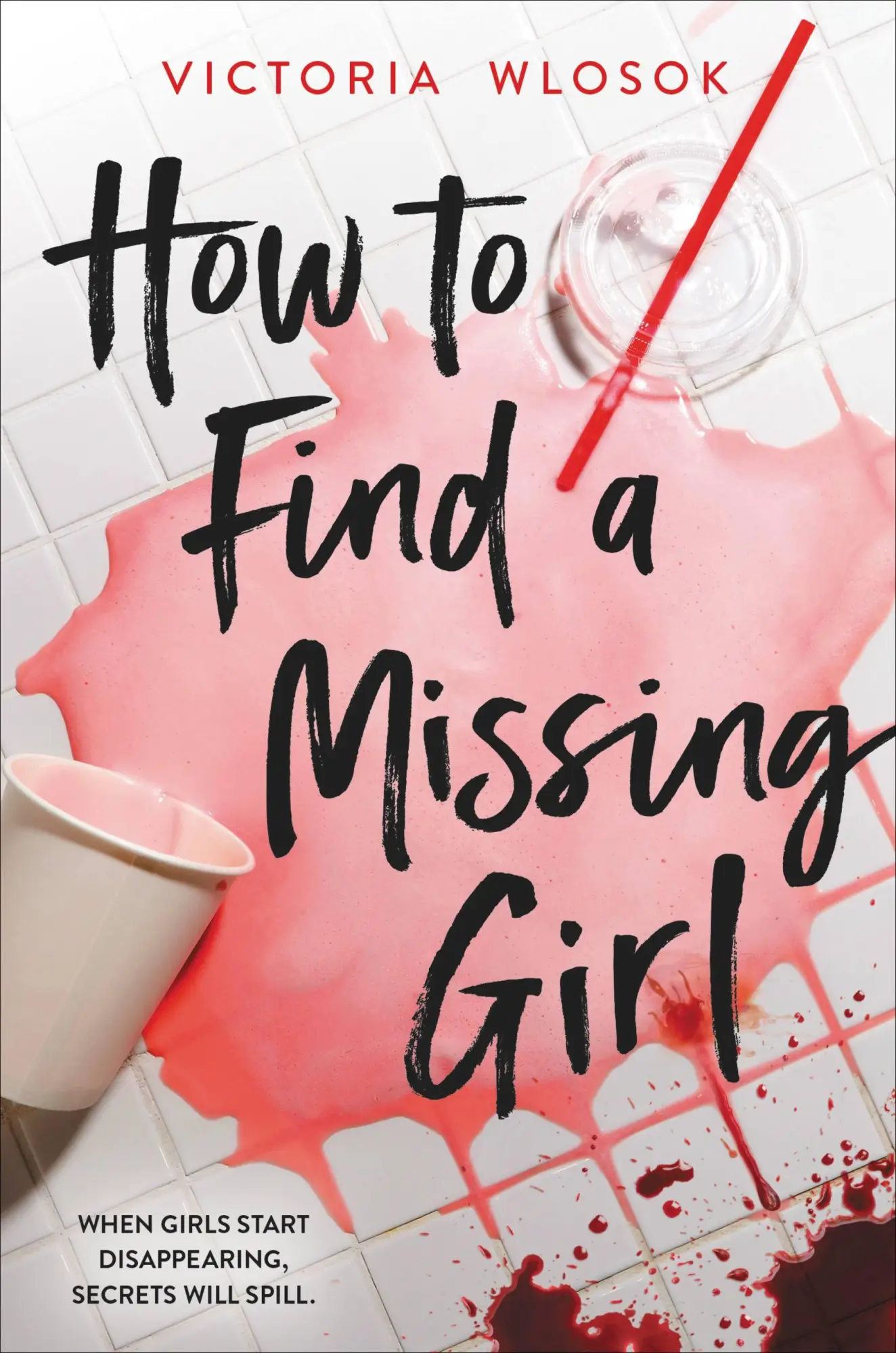 Cover: 9780316511506 | How to Find a Missing Girl | Victoria Wlosok | Buch | Gebunden | 2023