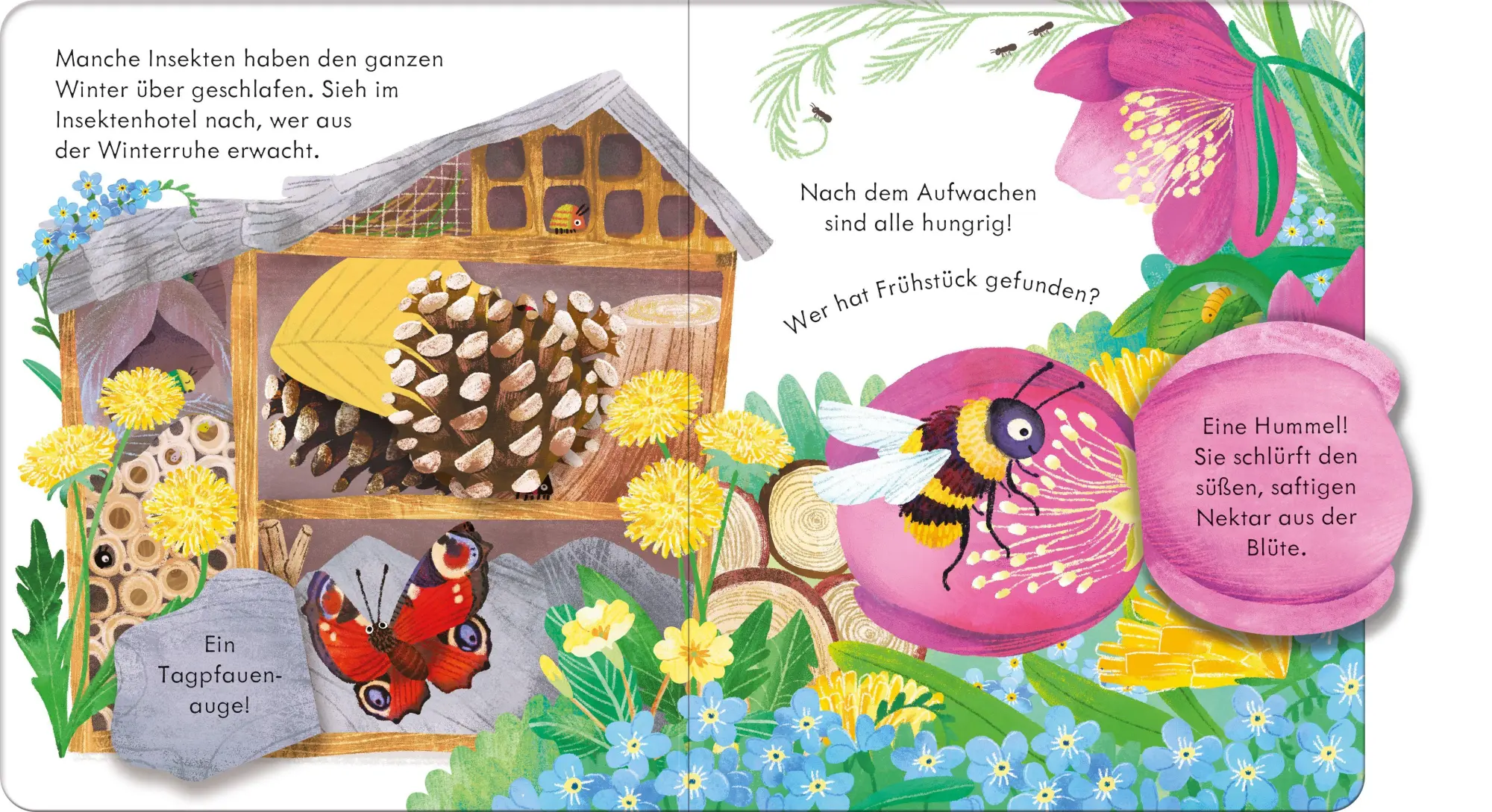 Bild: 9781035701506 | Guck mal, wer da ist! Im Frühling | Anna Milbourne | Buch | 14 S.