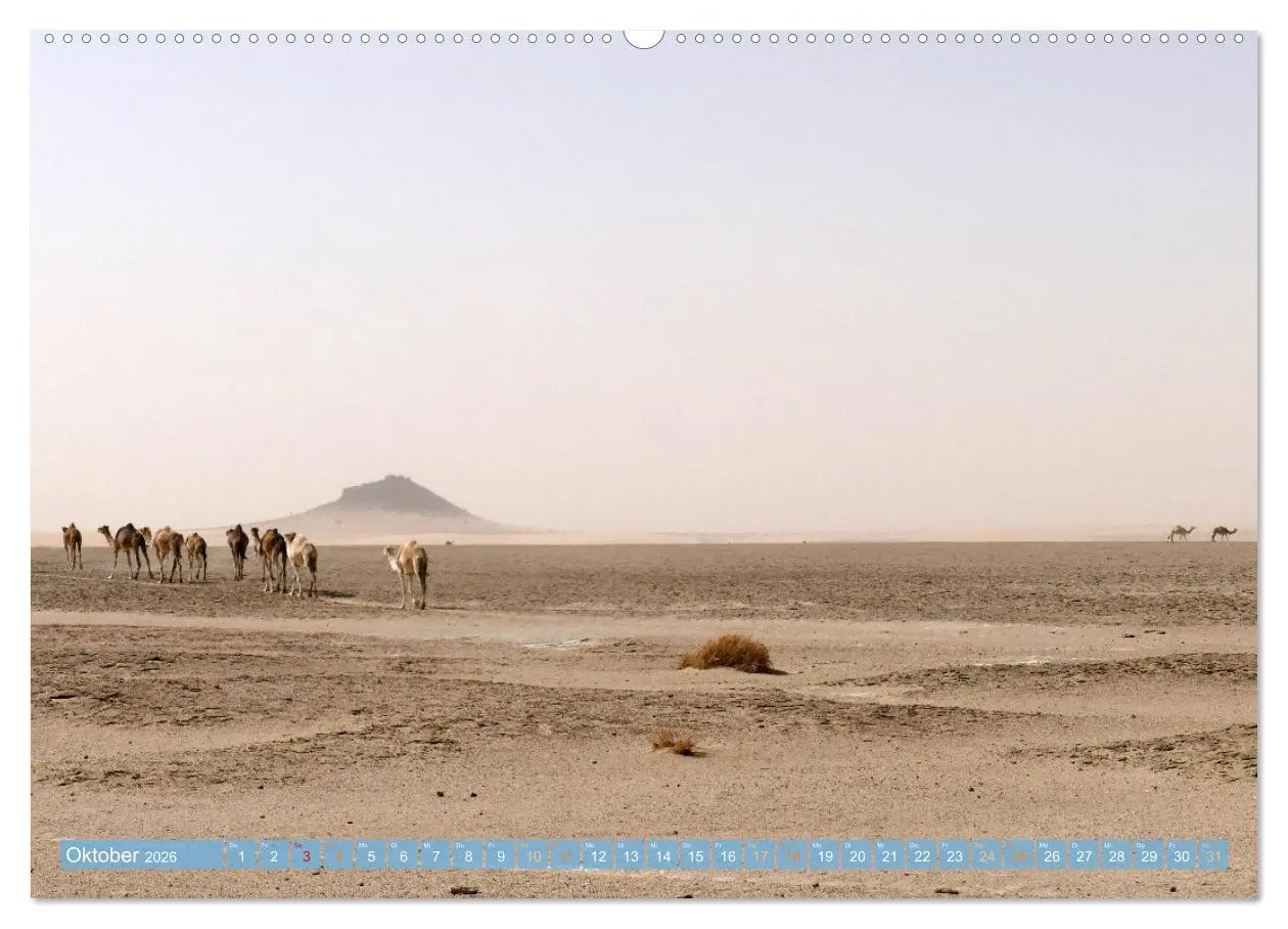 Bild: 9783457961506 | Sehnsucht Sahara (Wandkalender 2026 DIN A2 quer), CALVENDO...