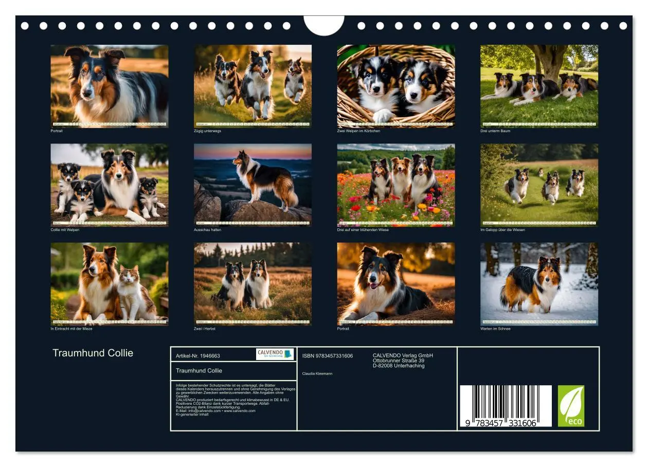 Bild: 9783457331606 | Traumhund Collie (Wandkalender 2026 DIN A4 quer), CALVENDO...