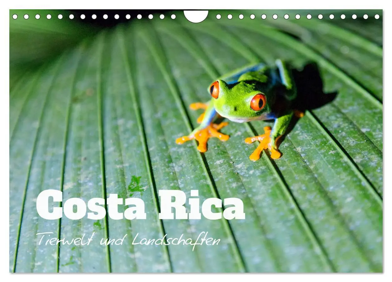 Cover: 9783457571606 | Costa Rica - Tierwelt und Landschaften (Wandkalender 2026 DIN A4...