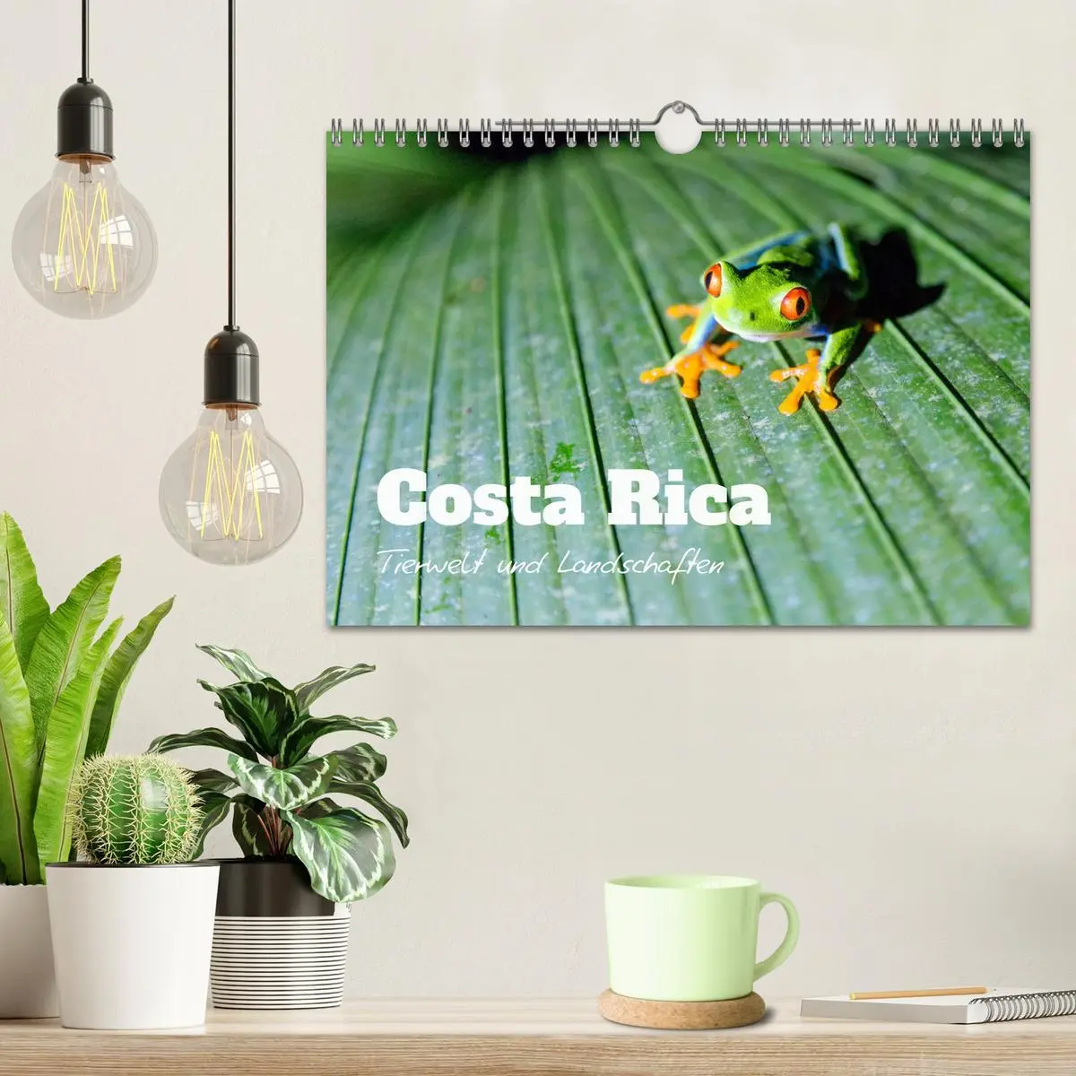 Bild: 9783457571606 | Costa Rica - Tierwelt und Landschaften (Wandkalender 2026 DIN A4...
