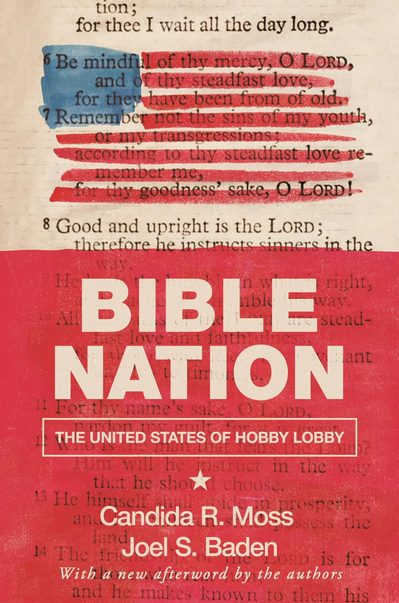 Cover: 9780691191706 | Bible Nation | The United States of Hobby Lobby | Moss (u. a.) | Buch