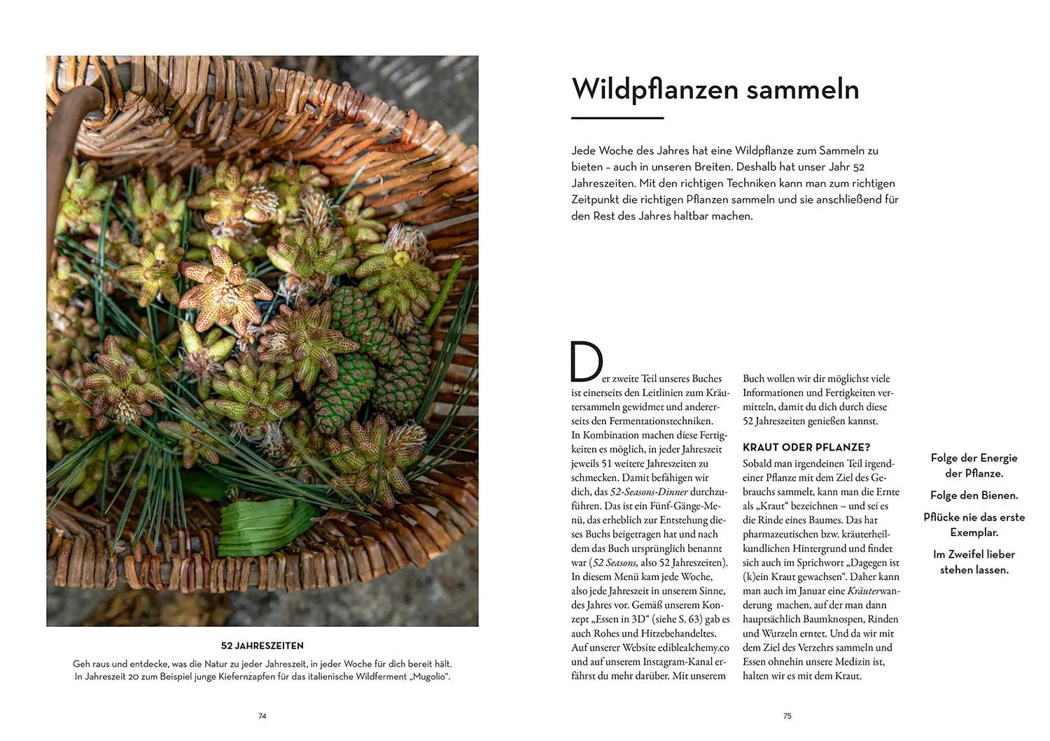 Bild: 9783440181706 | 52 wilde Fermente | Alexis Goertz (u. a.) | Buch | 224 S. | Deutsch