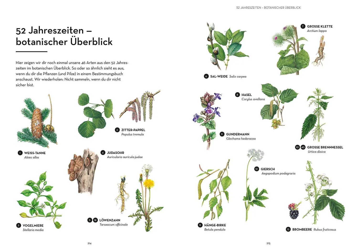 Bild: 9783440181706 | 52 wilde Fermente | Alexis Goertz (u. a.) | Buch | 224 S. | Deutsch