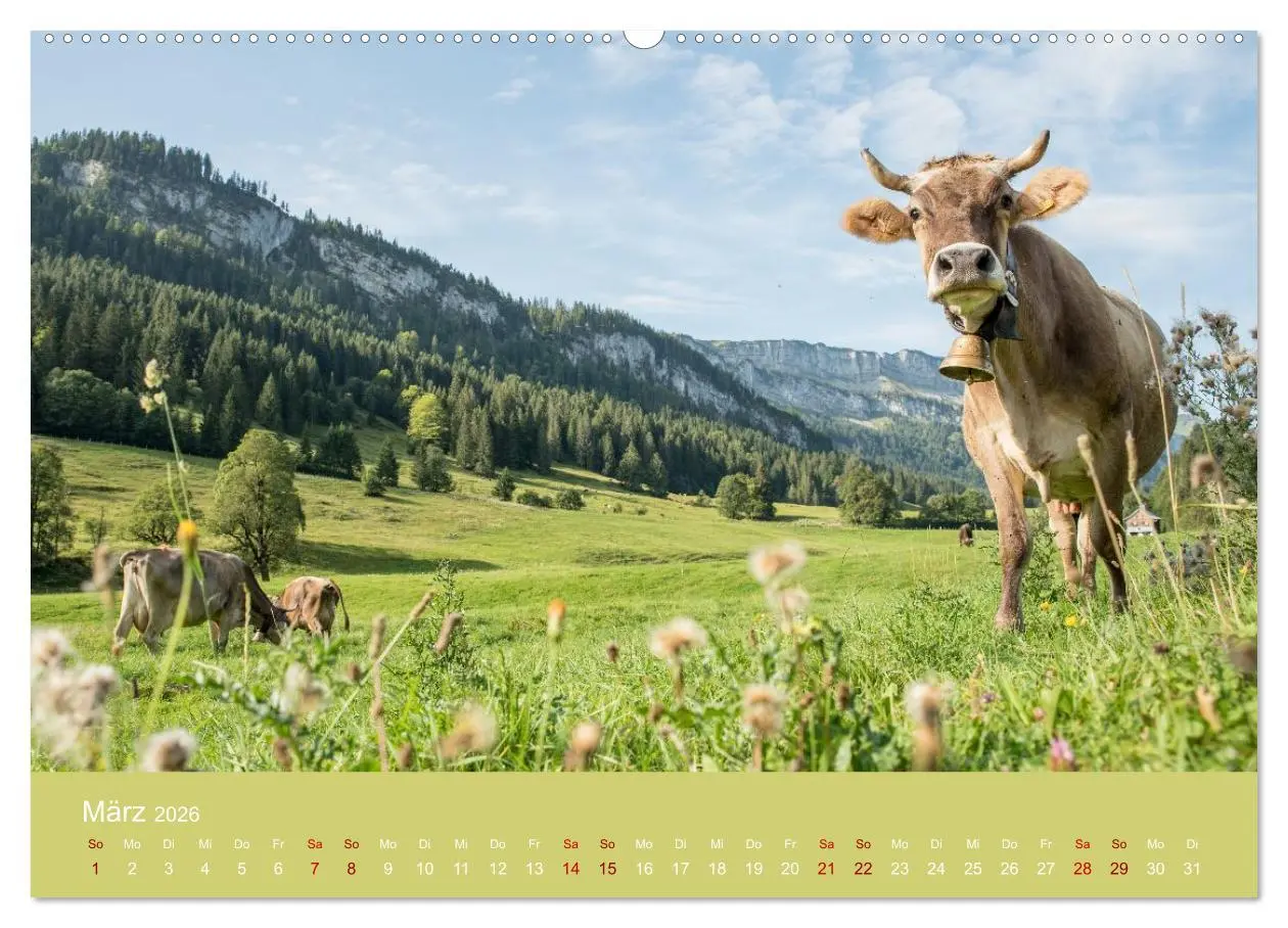 Bild: 9783457941706 | Heimweh Allgäu 2026 (Wandkalender 2026 DIN A2 quer), CALVENDO...