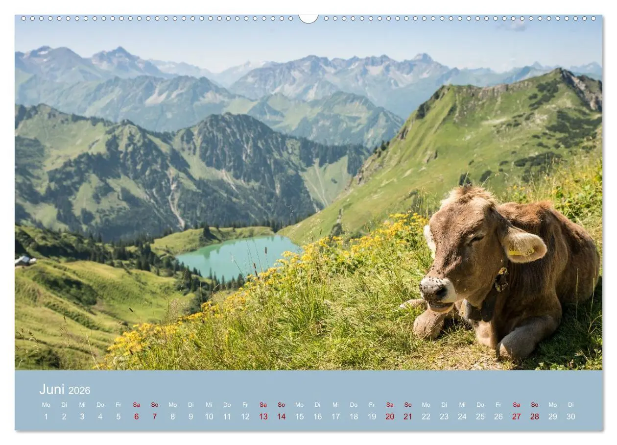Bild: 9783457941706 | Heimweh Allgäu 2026 (Wandkalender 2026 DIN A2 quer), CALVENDO...